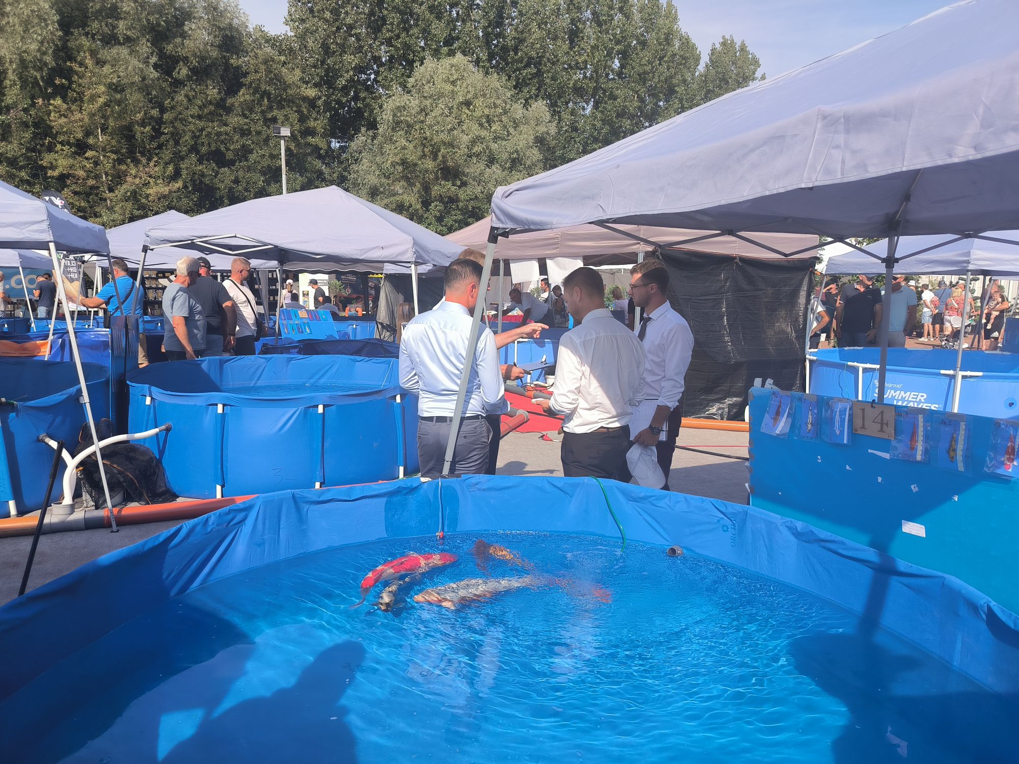 koi show aire sur la lys 2023