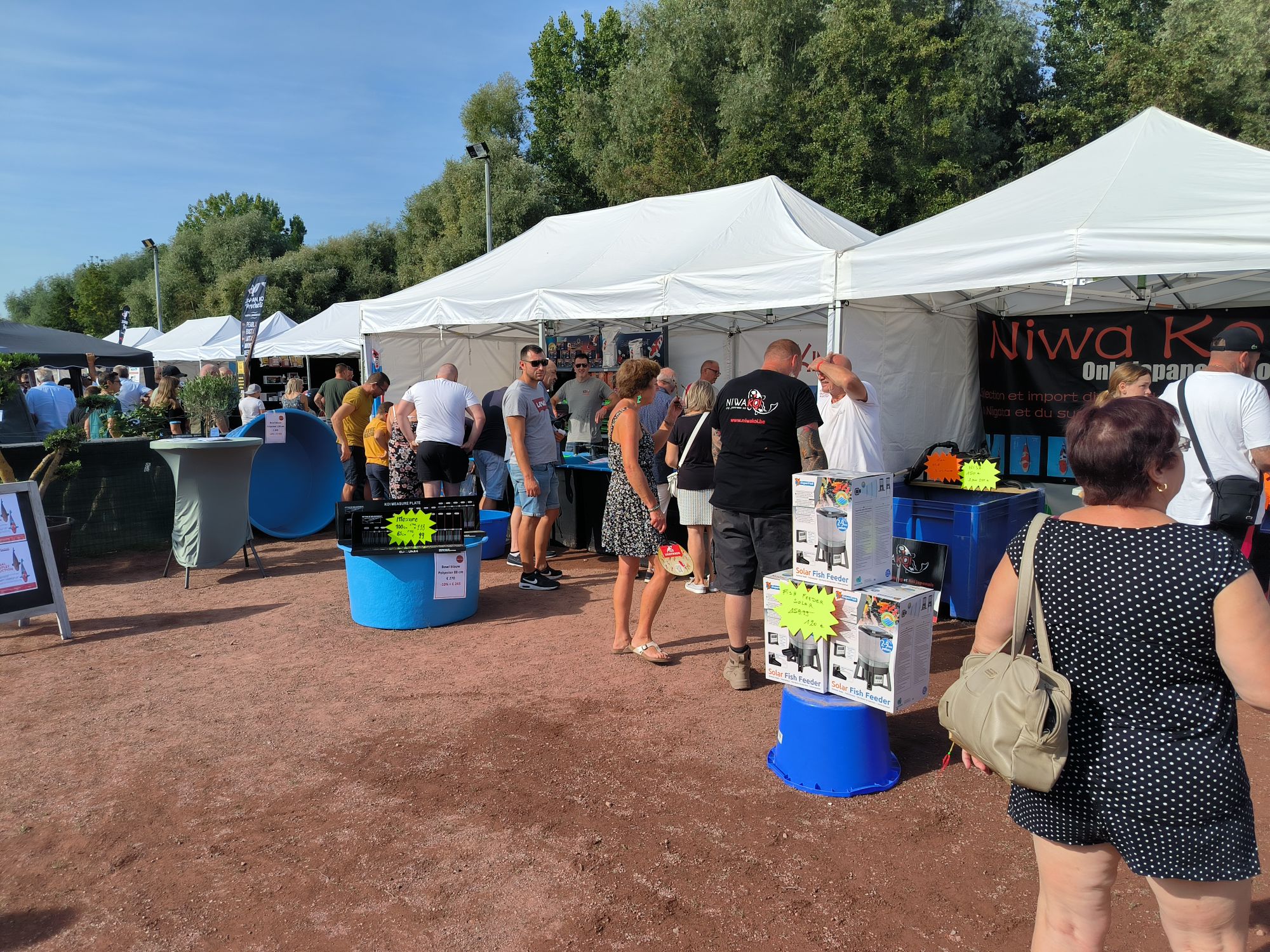 koi show aire sur la lys 2023